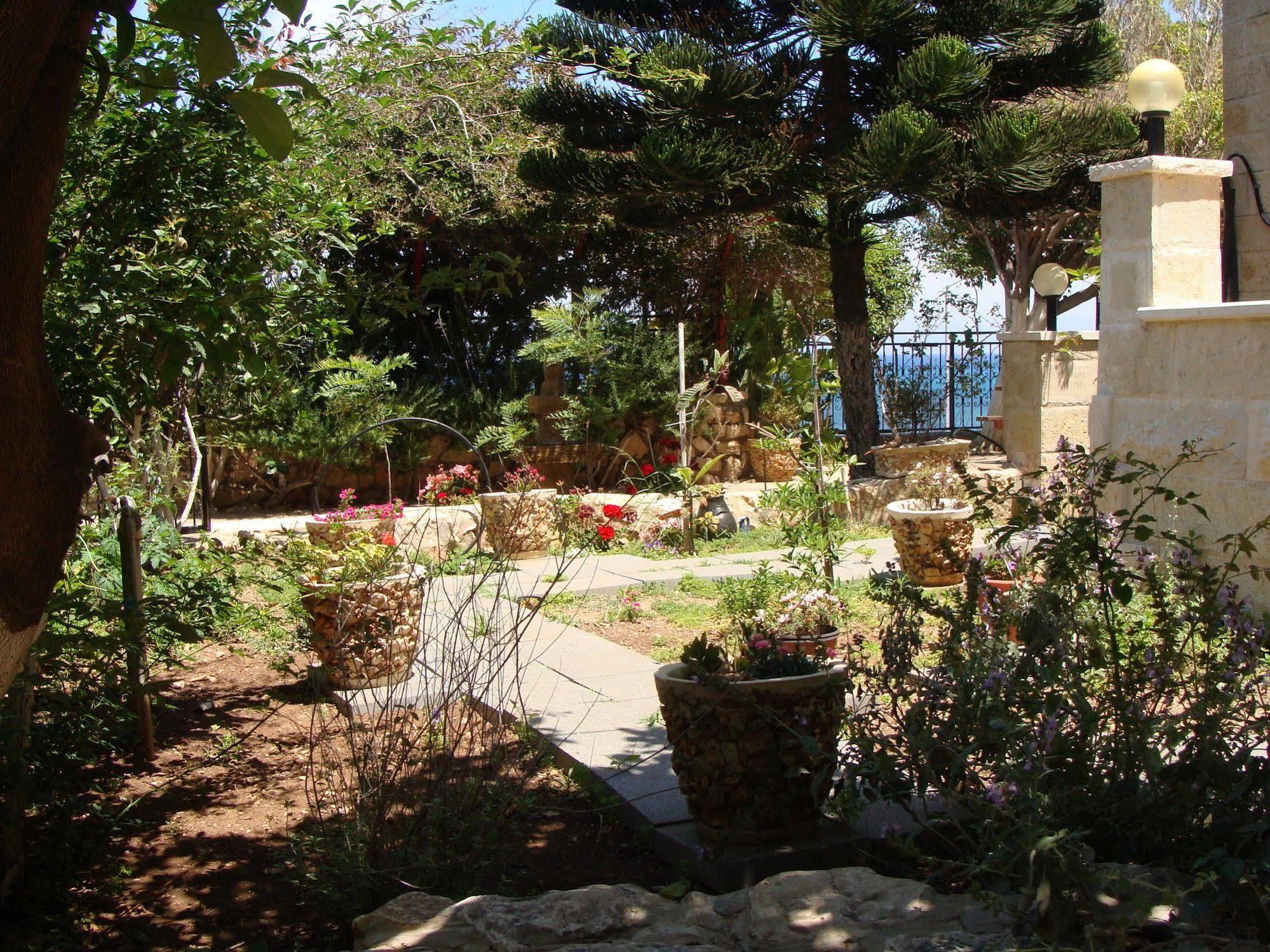 Tamer Guest House 하이파 외부 사진